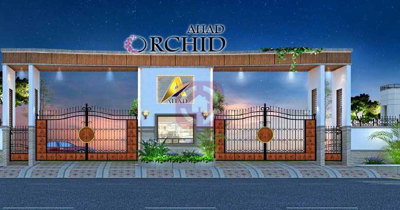 Ahad Orchid Cover Image